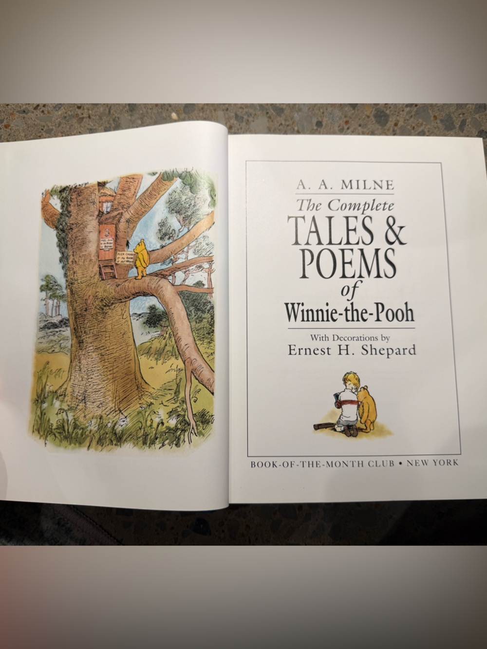 The Complete Tales & Poems of Winnie-the-Pooh 1997 Hardback Book Beautiful Art